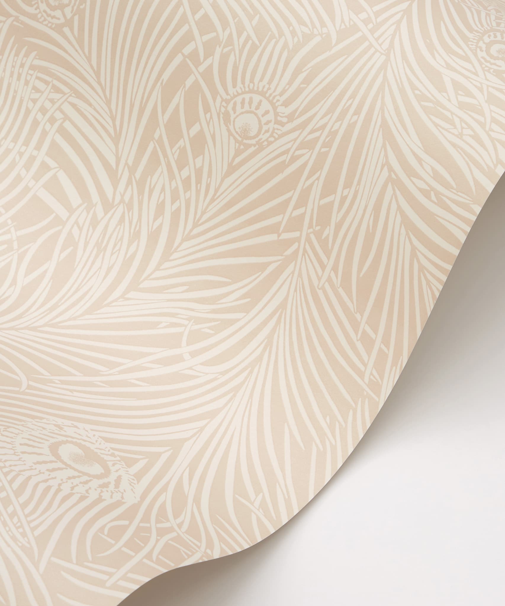 Hera Plume Wallpaper in Ointment - Image 2