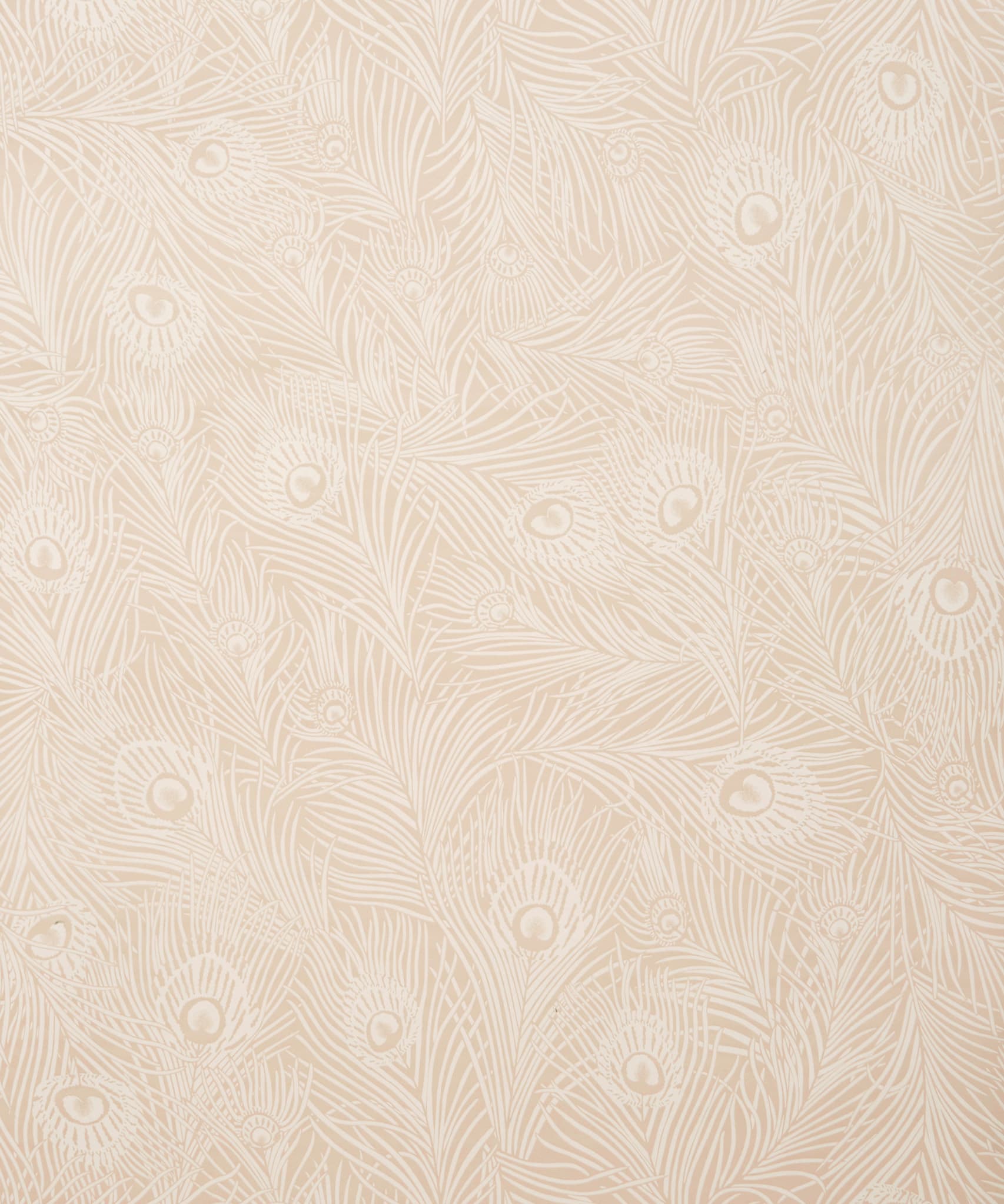 Hera Plume Wallpaper in Ointment - Image 3