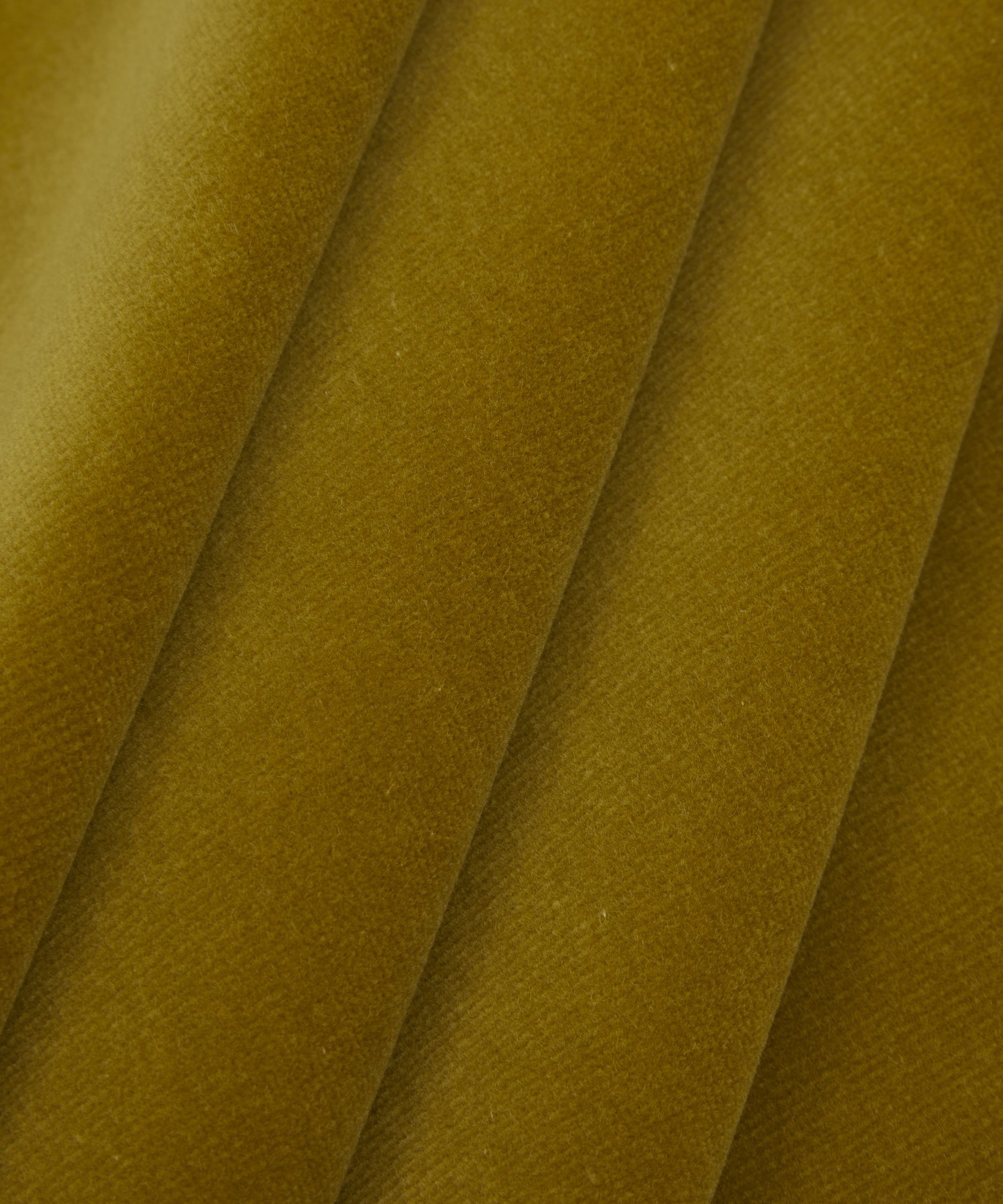 Cotton Velvet in Fennel - Indoor - Image 4