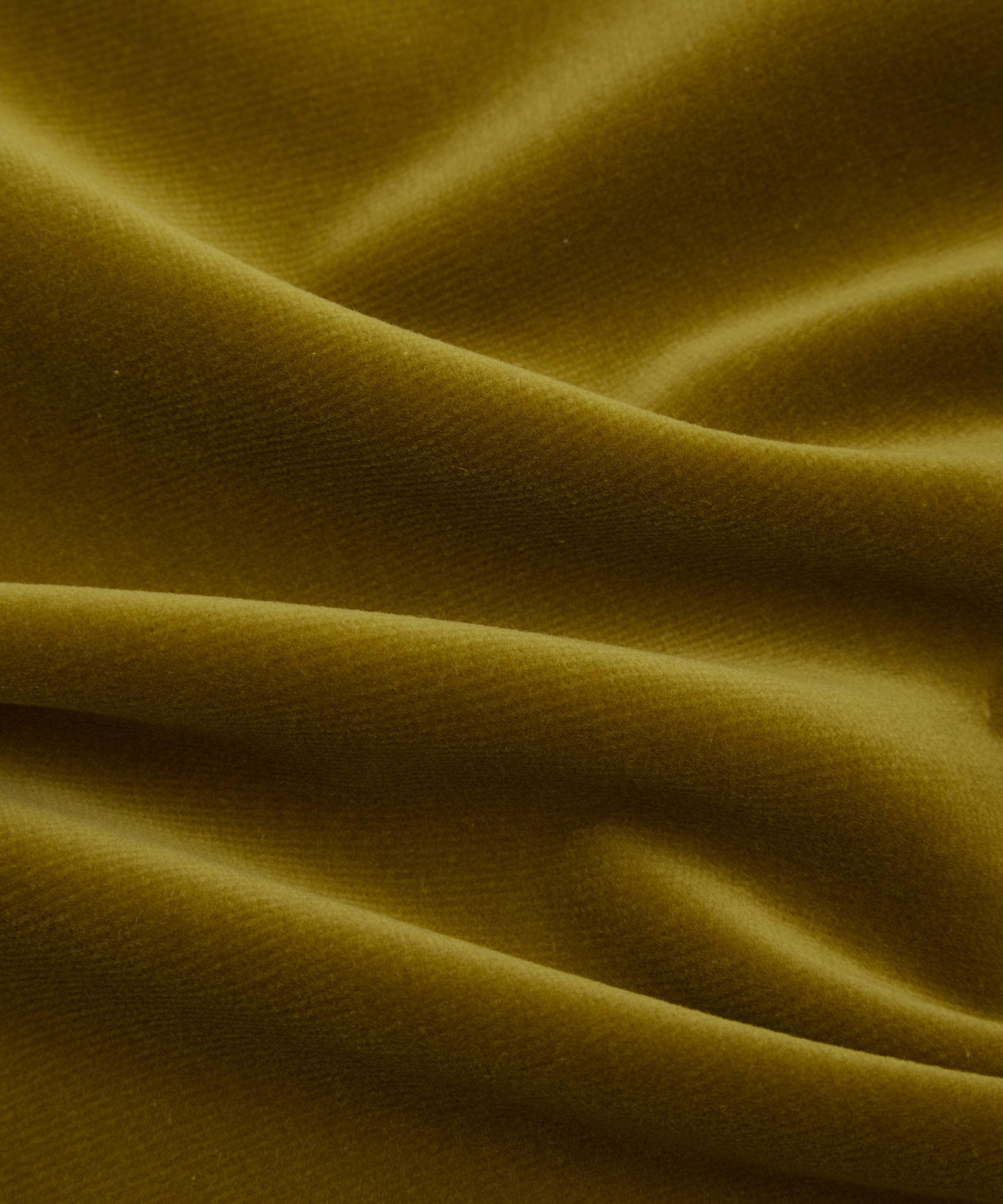 Cotton Velvet in Fennel - Indoor - Image 5