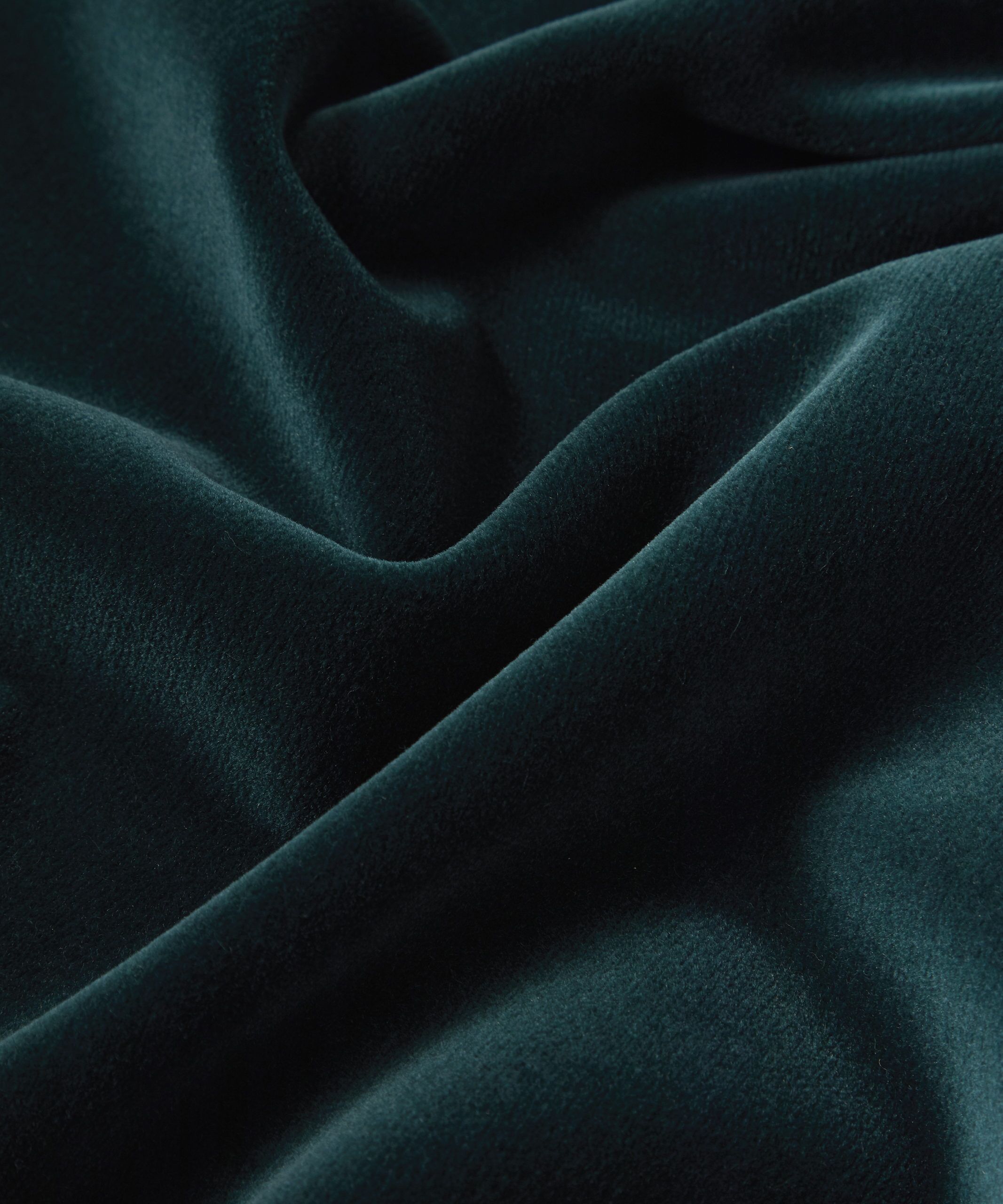 Cotton Velvet in Scarab - Indoor - Image 5