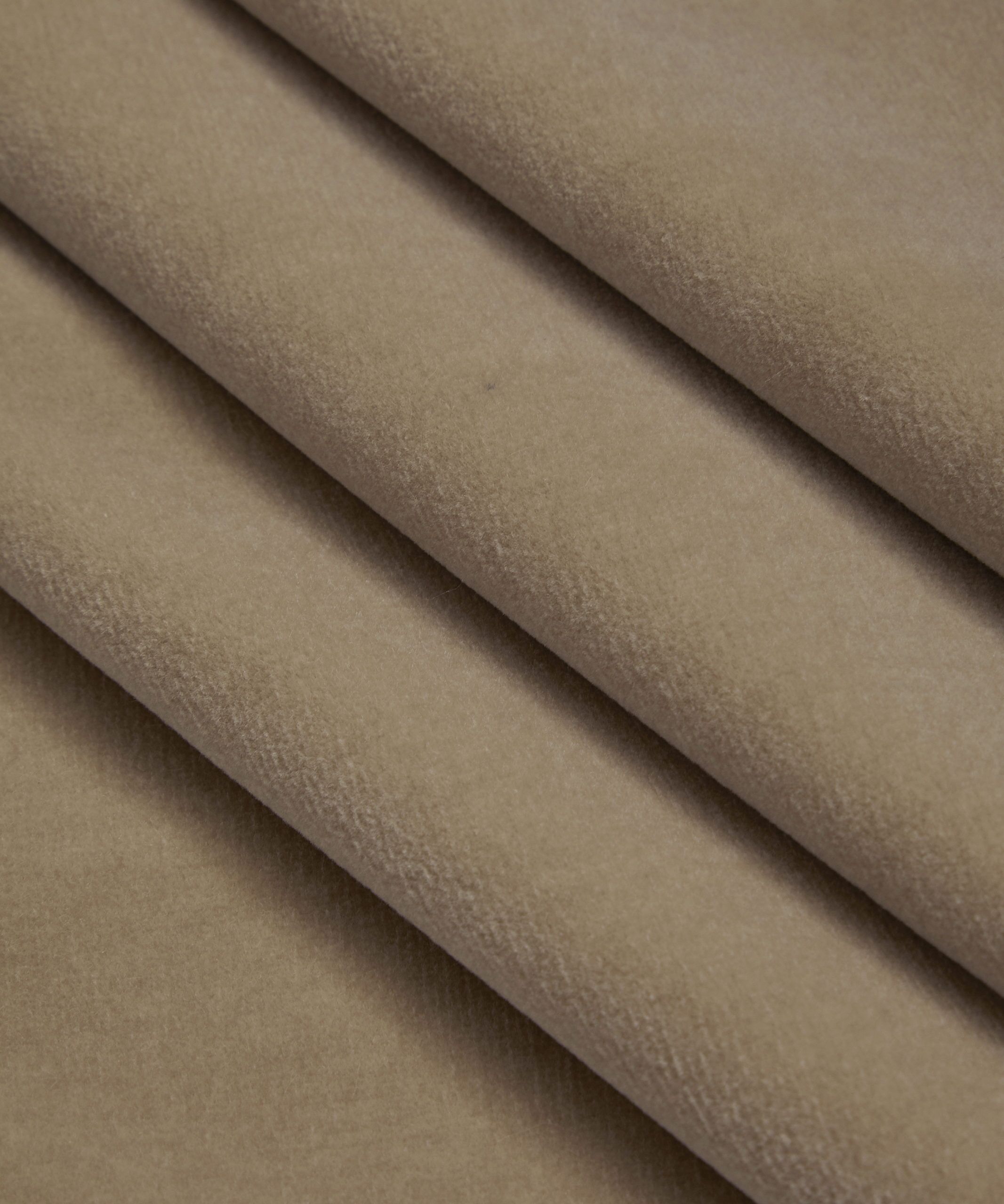 Cotton Velvet in Ointment - Indoor - Image 3
