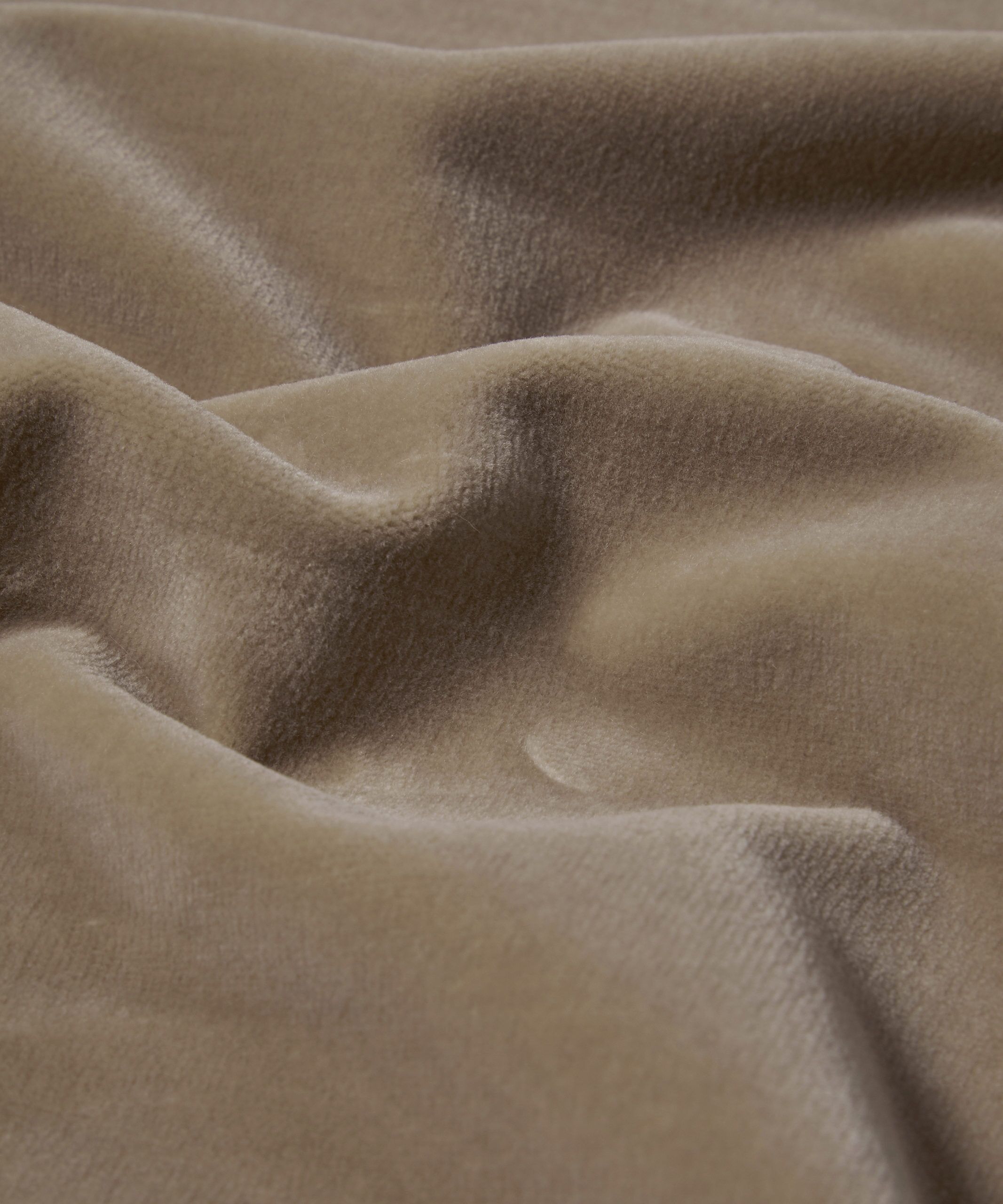 Cotton Velvet in Ointment - Indoor - Image 4