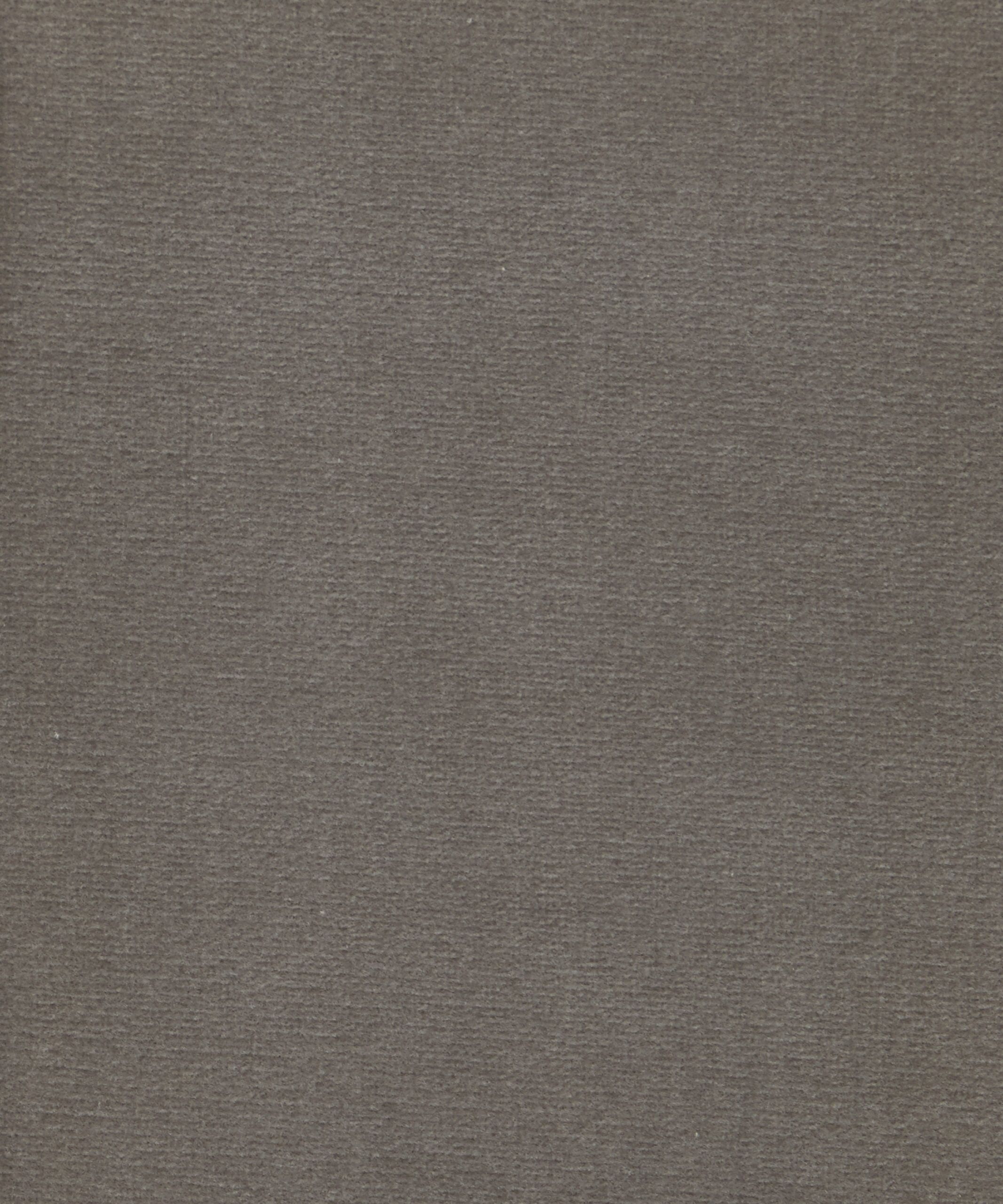 Cotton Velvet in Flax - Indoor