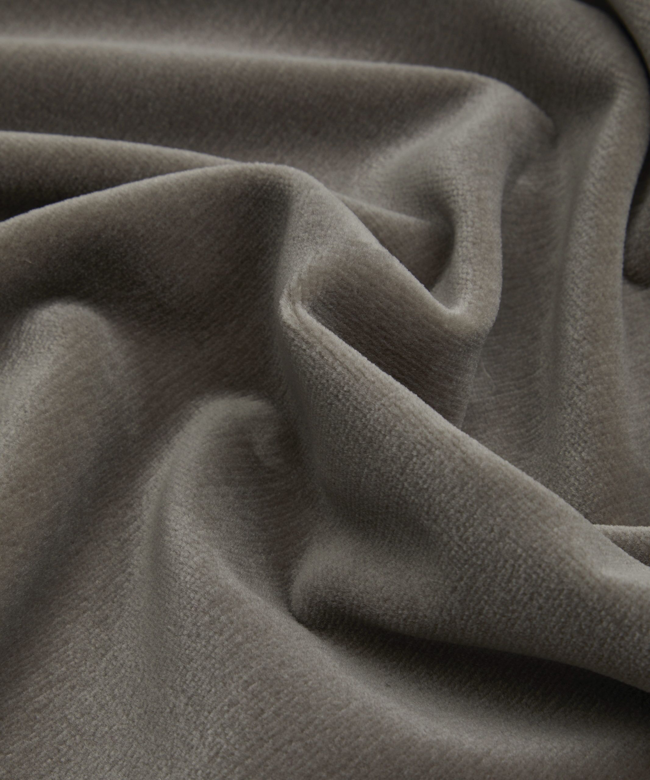 Cotton Velvet in Flax - Indoor - Image 4