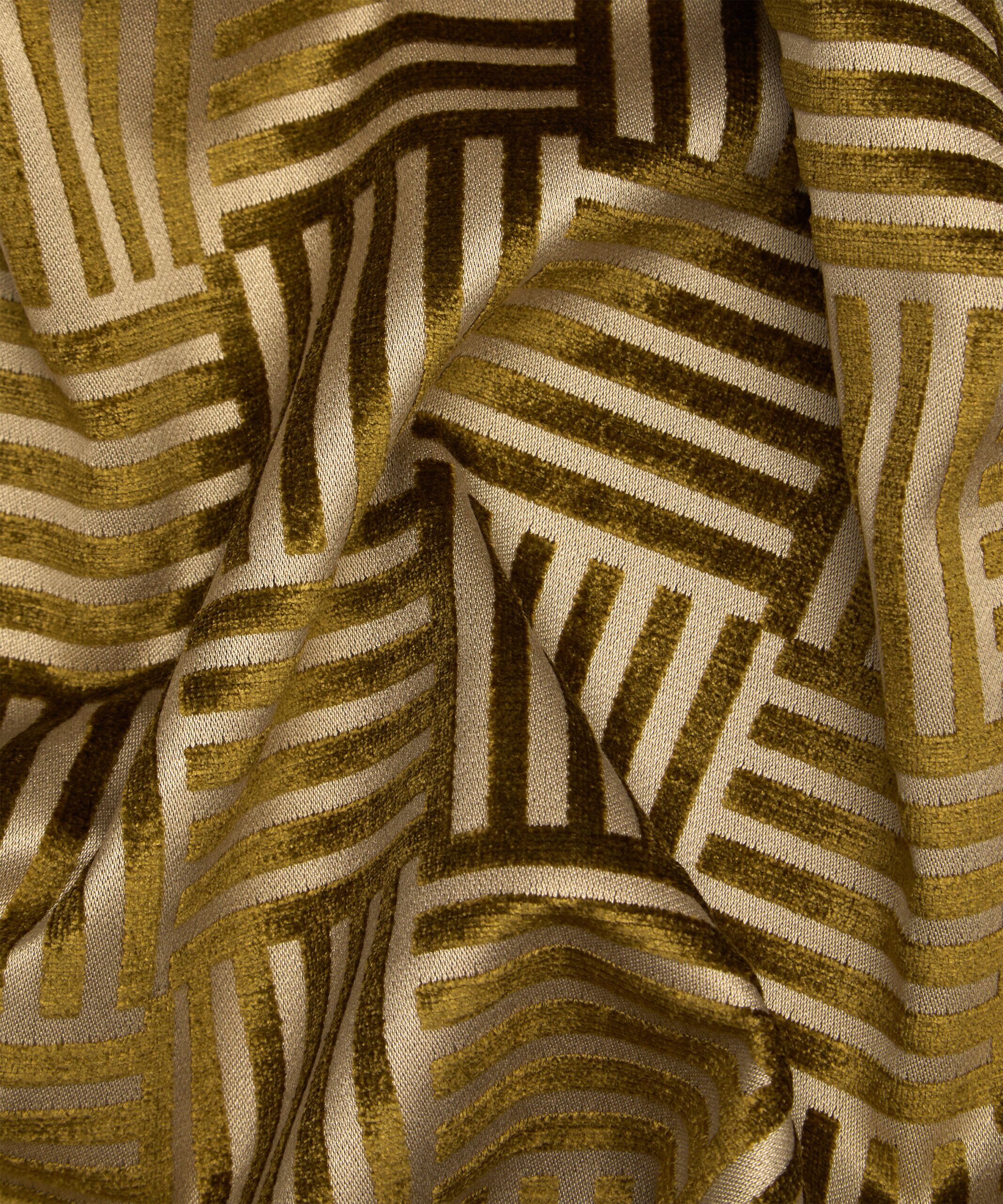 Archive Geo in Kelp - Indoor - Image 3