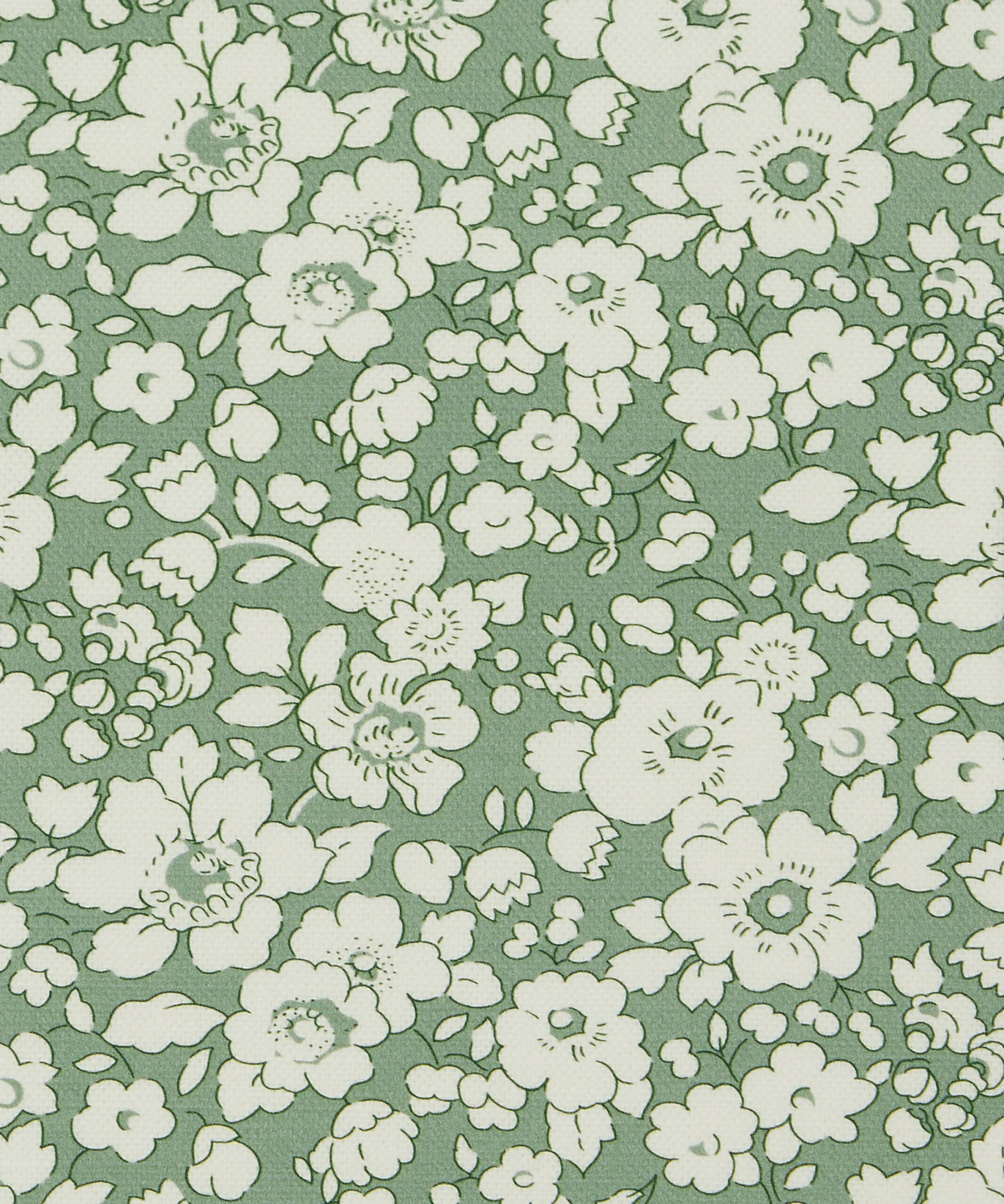 Betsy Bloom in Salvia - Indoor