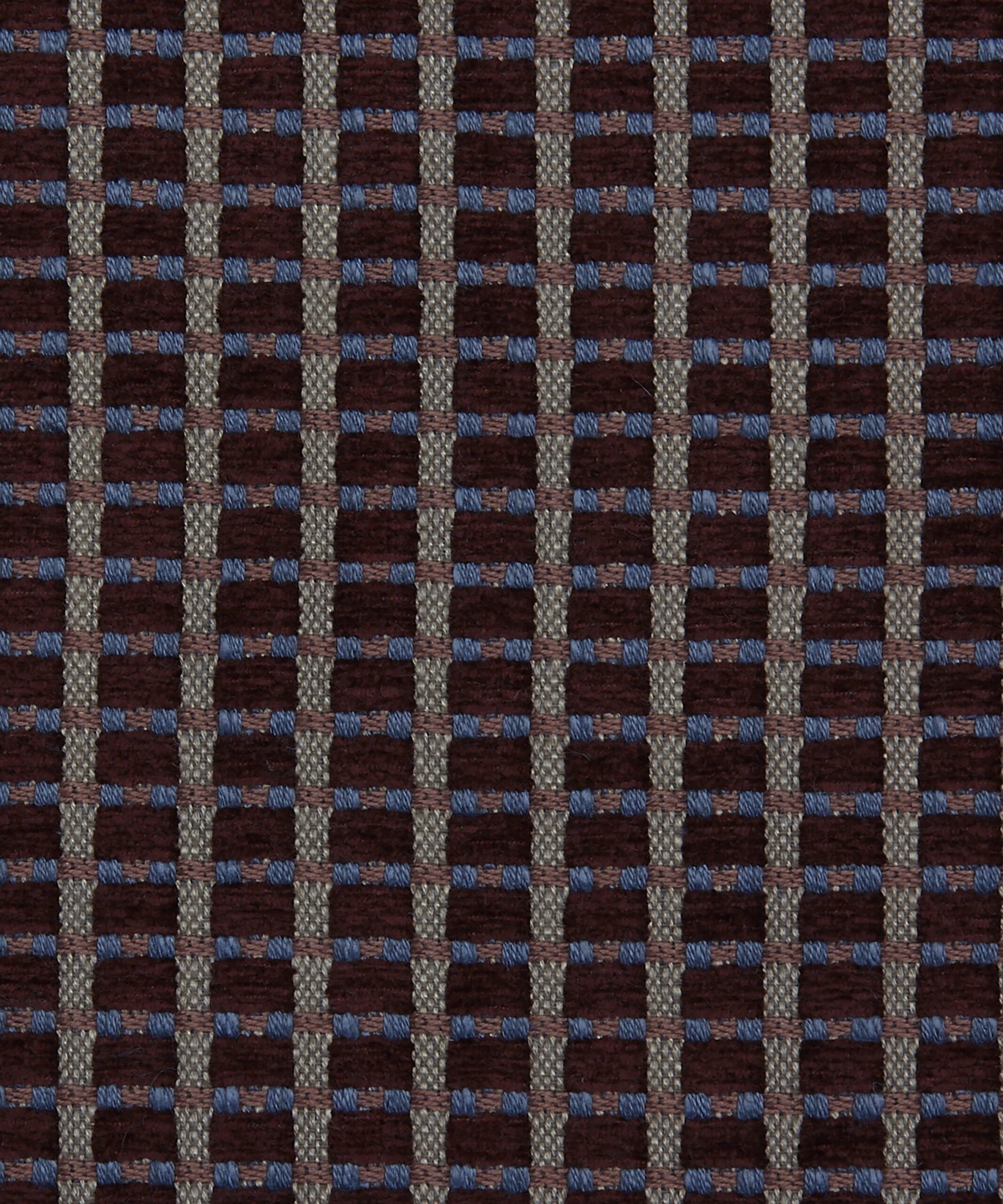 Yves in Dragonfly - Indoor